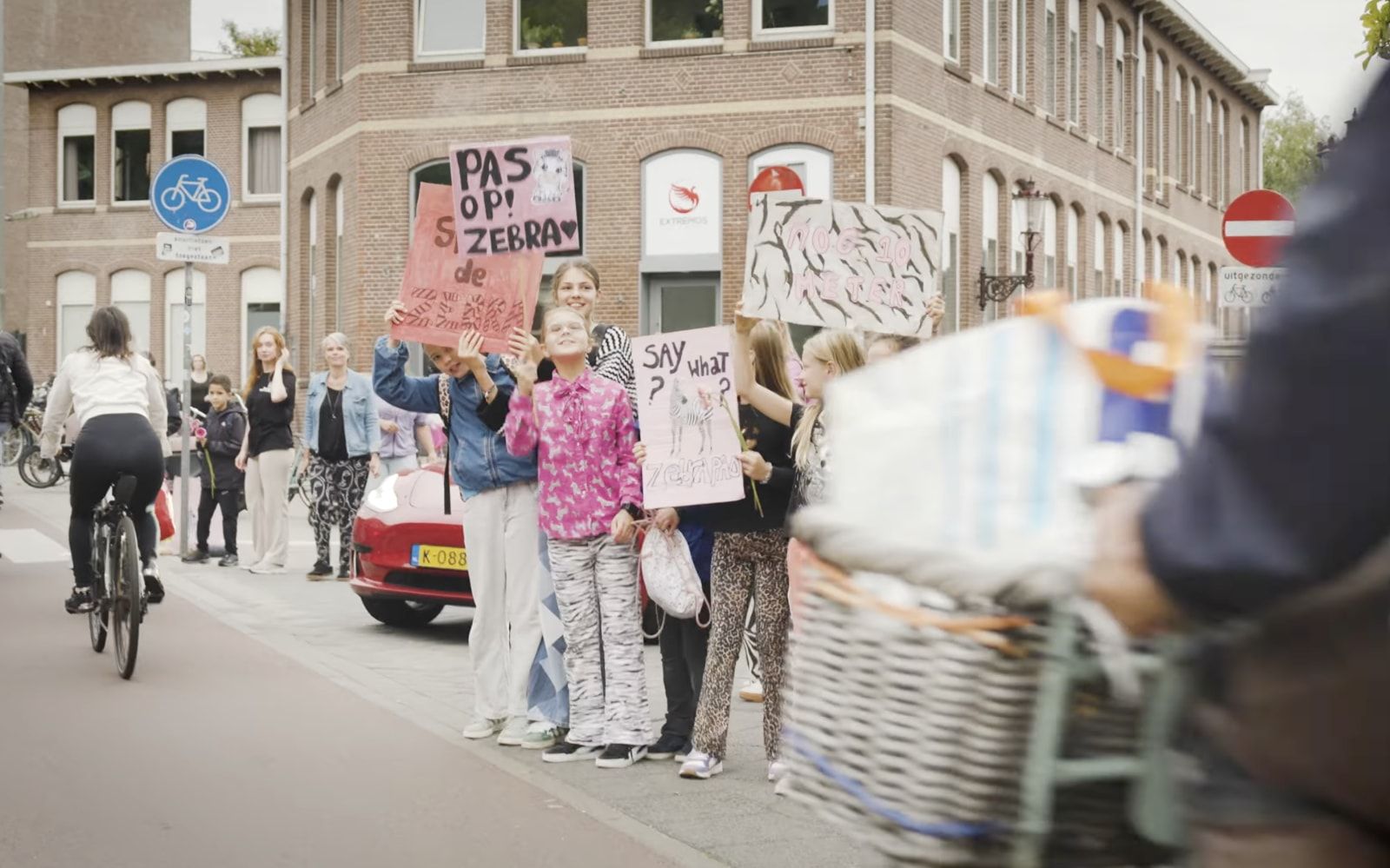 Ik Rem Voor Zebra's