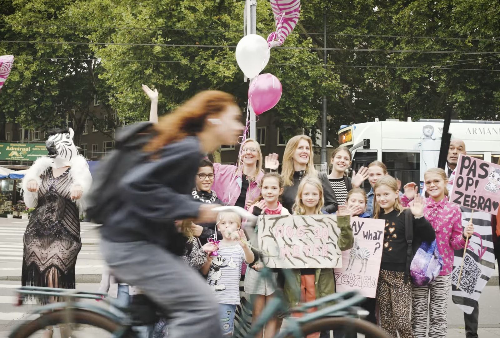 Ik Rem Voor Zebra's